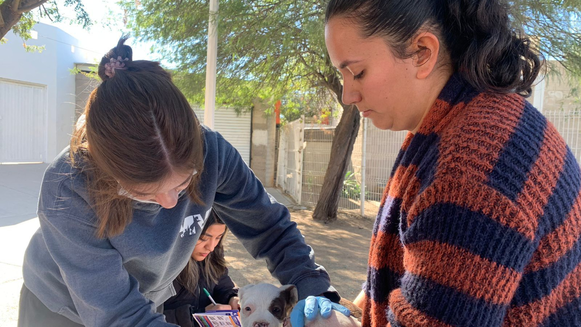 Gobierno de Sonora lleva jornadas de atención veterinaria a colonias de Hermosillo