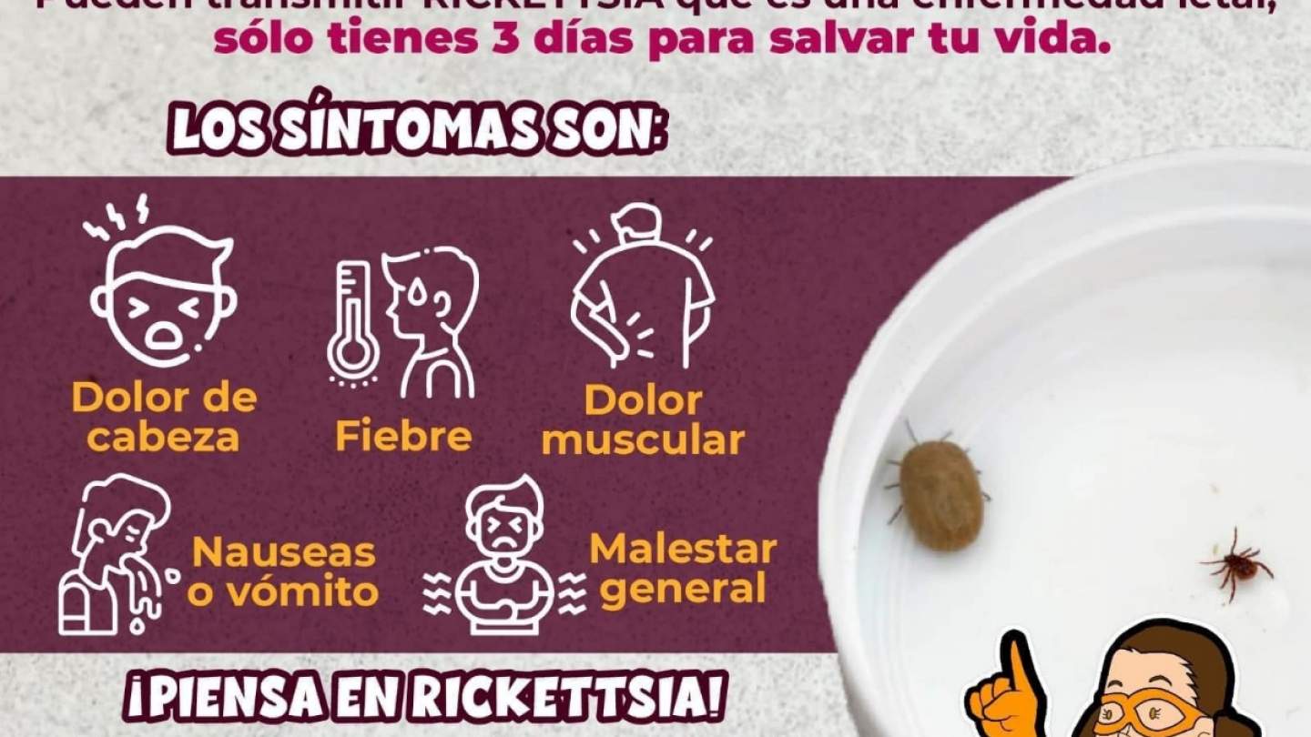 Trabaja Salud Sonora en acciones preventivas contra fiebre manchada por rickettsia rickettsii